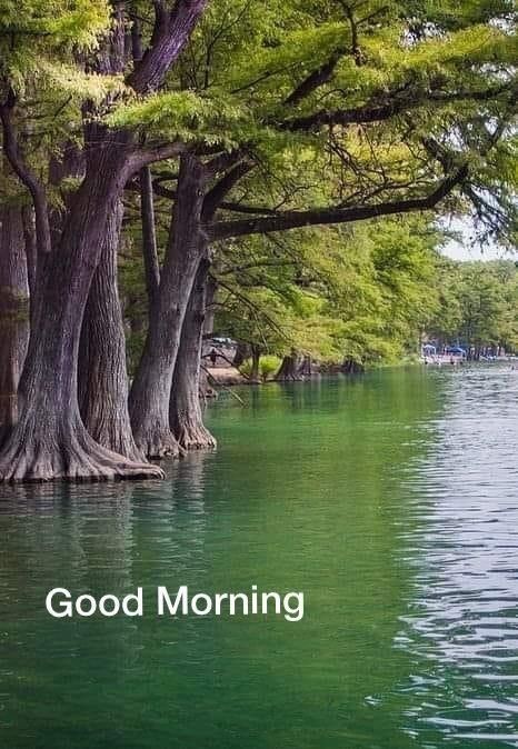 Ehtshamlag17851's tweet photo. Aslam o Alikum guys
Have a Natural Morning https://t.co/HQ0AsLsW5Y
