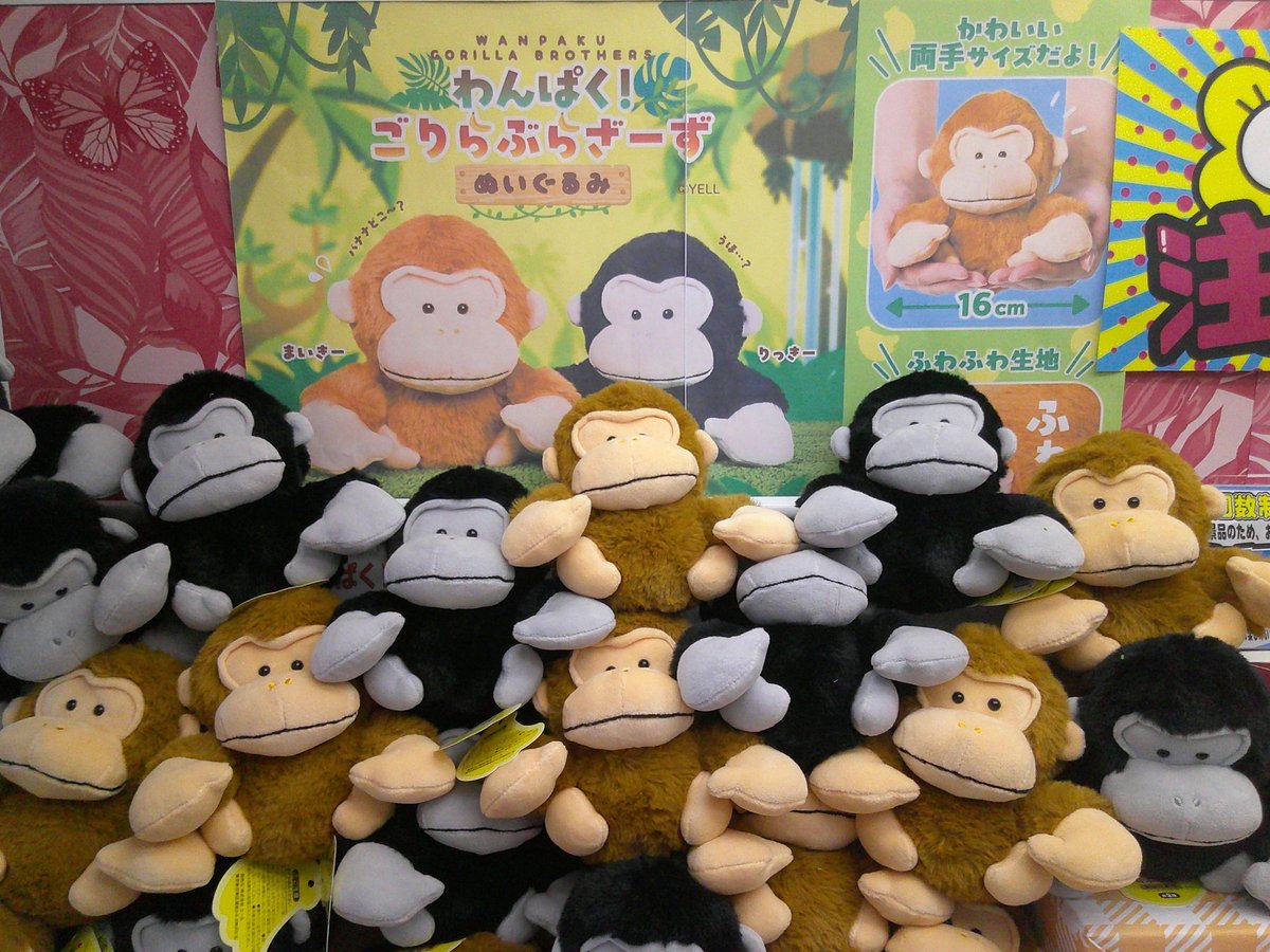 🌟スタッフ一押し景品紹介🌟 この頃ゴリラシリーズのぬいぐるみが続々