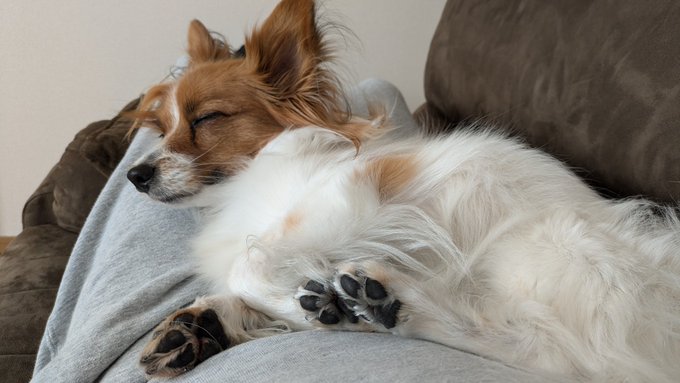 年末でもマイペースだねえ 