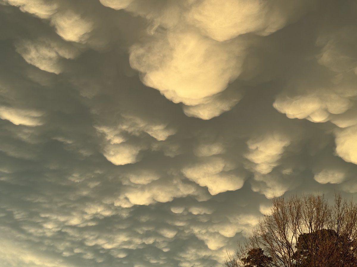 Terry McFadden (@tmcfadden2016) on Twitter photo 