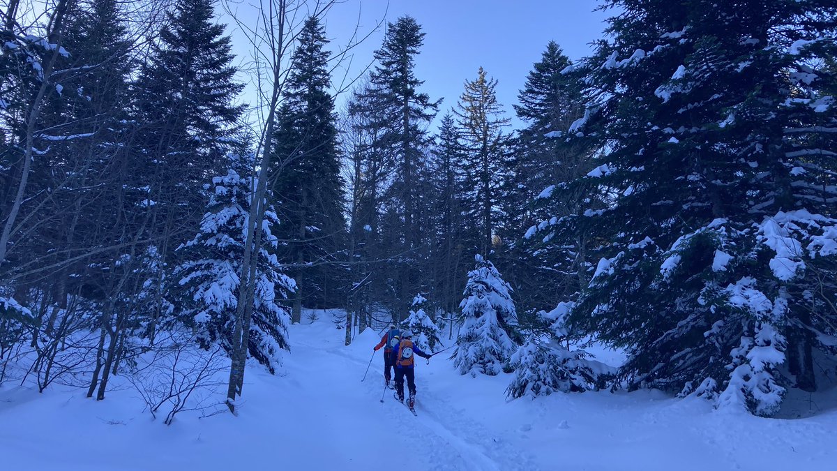 biciesqui's tweet image. Circular al #Chartreuse, espai de silenci ❄️❄️
@cegesqui