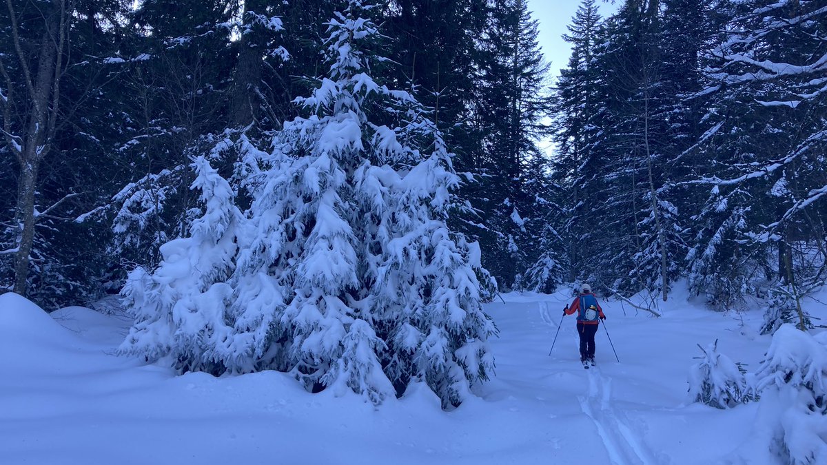 biciesqui's tweet image. Circular al #Chartreuse, espai de silenci ❄️❄️
@cegesqui