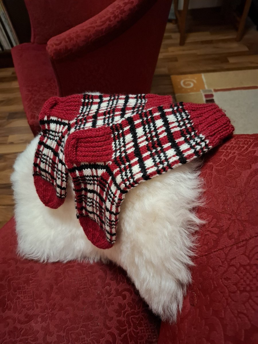 MaipuMaire's tweet photo. Aitoa #lammas pehmoa istuin alusta🐑
AINOT malliston kuosi #sukat valtasivat minulta paikkani👨🏻‍🦱 #joulupukilta saatu 2024🎅🎄Hyv'yötä💕🙋🏻‍♀️💤❤️ @IrmeliKaija @IamHula @jniemi3 @JohannaKukka
@kallio2017 @Kaijaala @MarjaEliala @Tine531 @TittaPekari https://t.co/J9mMIsrXBB