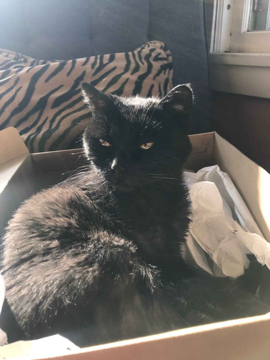 Lonnie Rice tweet media