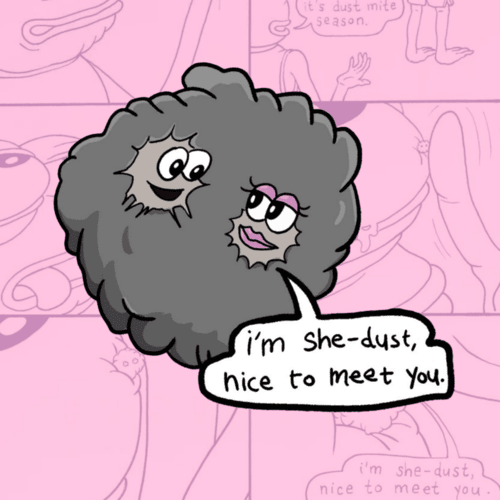 She-Dust - CTO tweet media