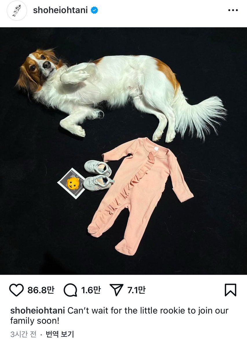 난미쳐가 tweet media