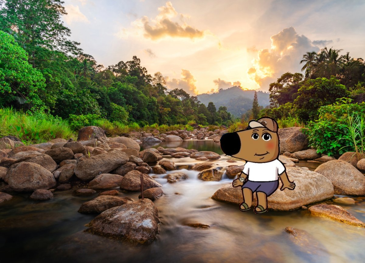 Looking for a crypto home where you can relax and watch your investment grow? Join the $CHILLKID family!  We're all about growth, community, and chill vibes. Invest, hold, and enjoy the journey with us! #ChillKid #InvestSmart #CryptoCommunity