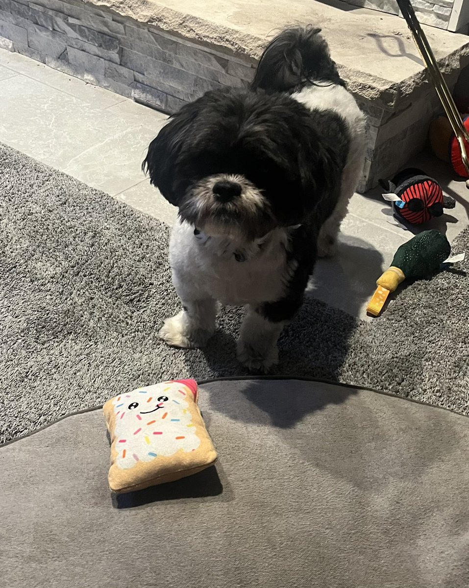 chelidog's tweet photo. Everyone’s a fan of the Pop-Tarts Bowl @ESPNCFB @JRodgers11 #PopTartsBowl https://t.co/VozVnGnkba