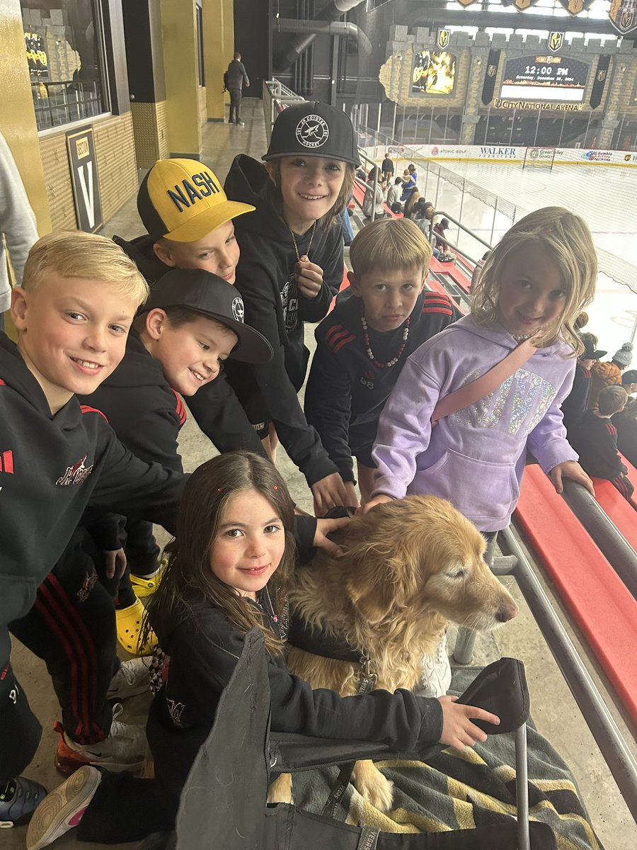 Goldie_Vegas's tweet photo. Sorry you missed practice on Saturday… they didn’t! #wildtime #goKnightsgo #loveGoldie https://t.co/qNDuHakzvL