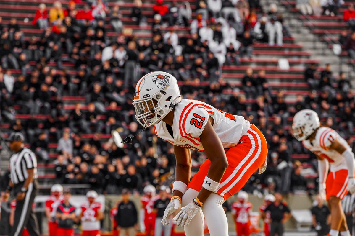 Victor Pless tweet media