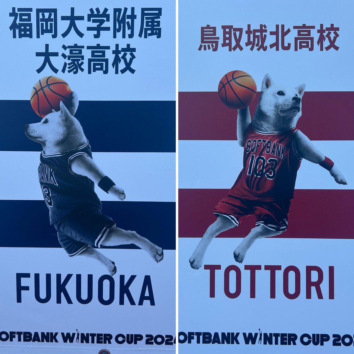 いざ最高の舞台へ！ 高校バスケの集大成、本日決勝🏆 ＼ ❄️SoftBank