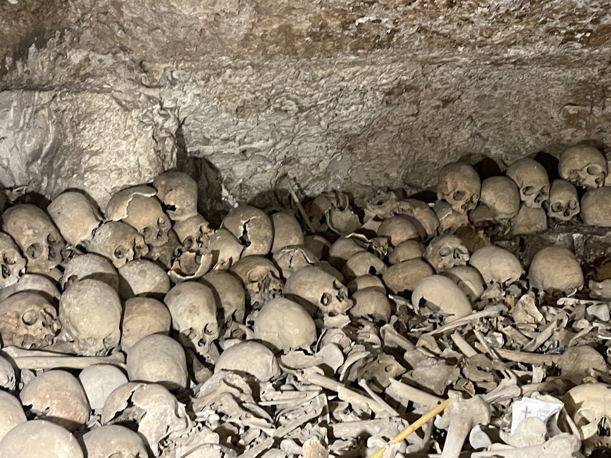 Alejandra YañezRubio tweet media