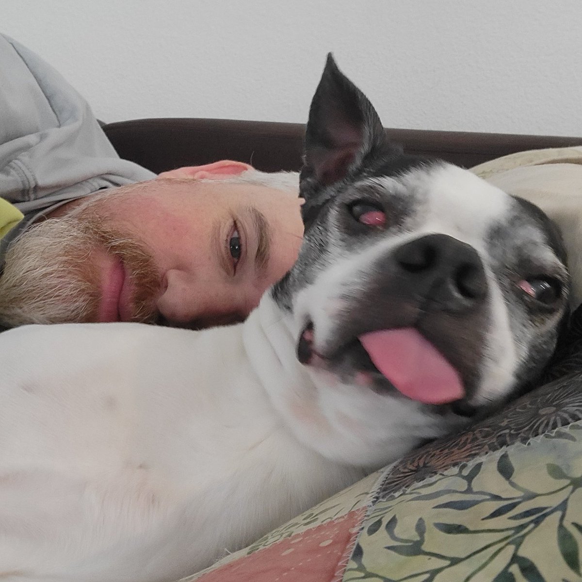 Troy - 420vapezone tweet media