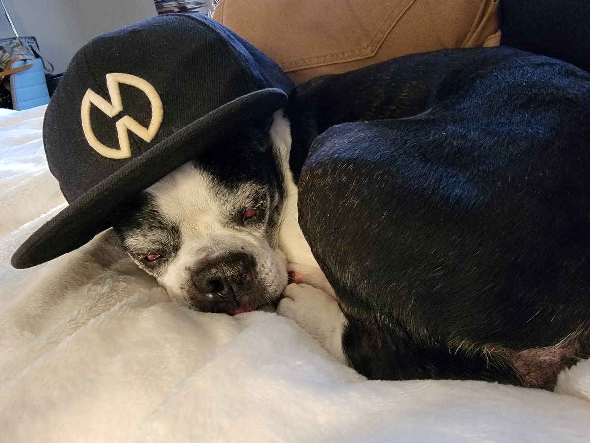 Troy - 420vapezone tweet media