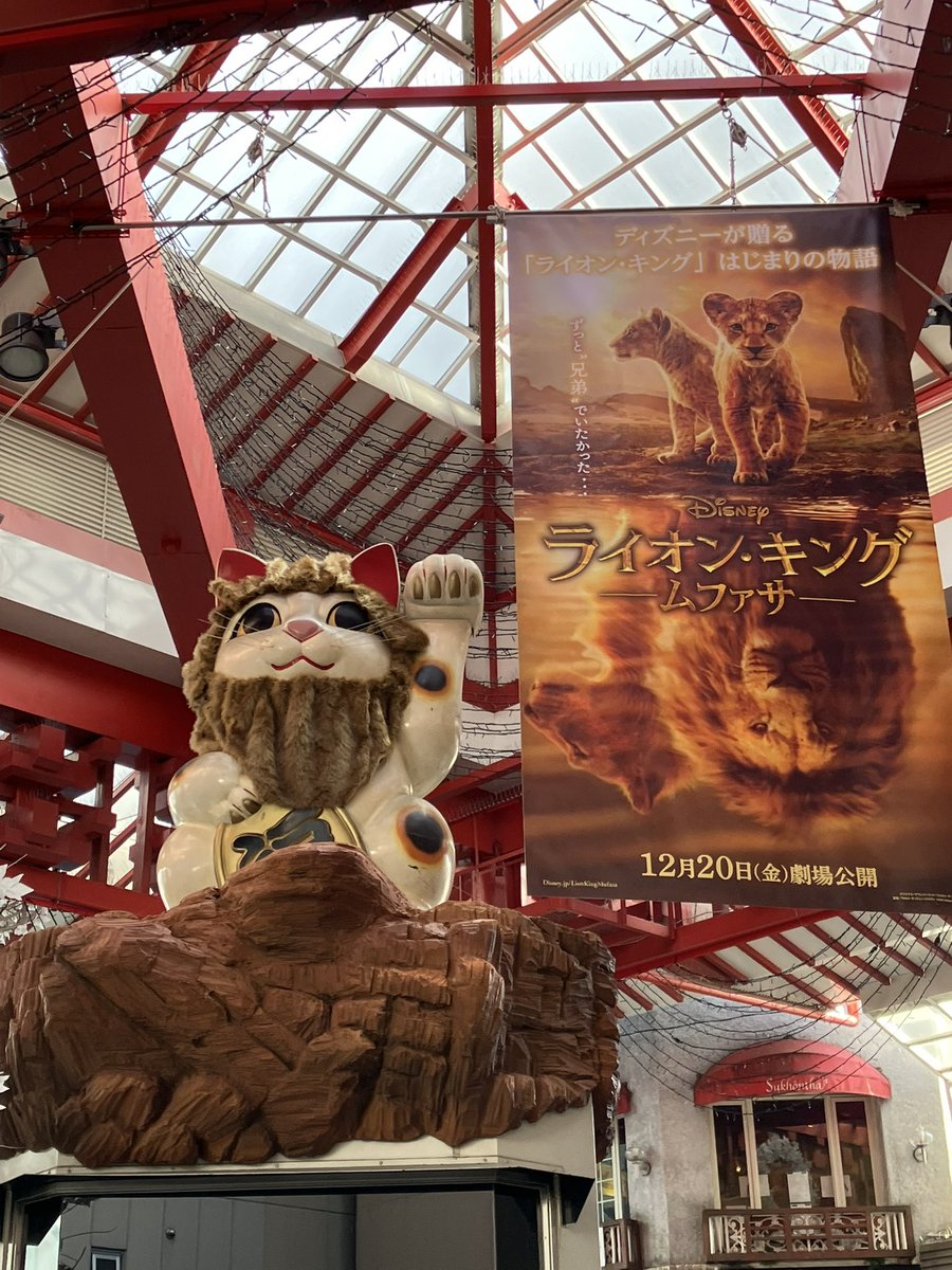 toumorocooon's tweet photo. https://t.co/9dIfF0PAla