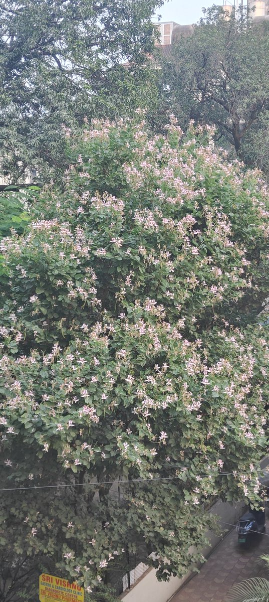 rajeshdatar2022's tweet image. 