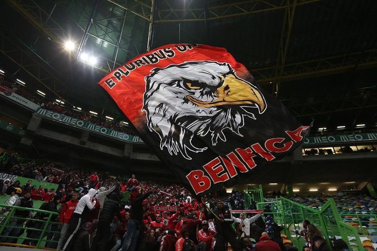 backup_rodrigo2's tweet photo. Vençam por nós, à Benfica! https://t.co/IBZO6oMYcL