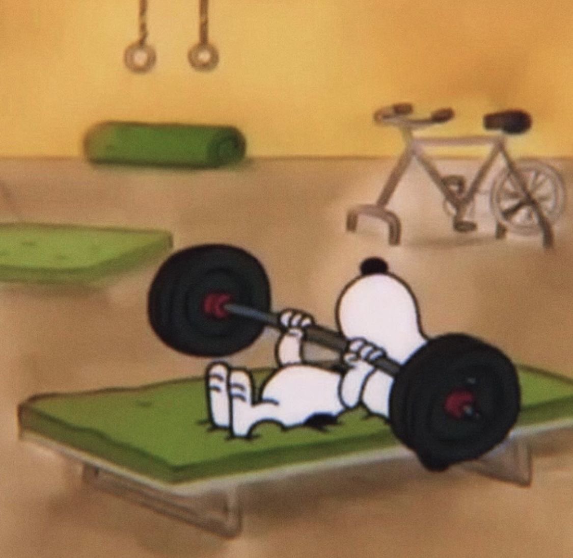 Flojos con iniciativa la primicia💪🏻

KARIME X SNOOPY