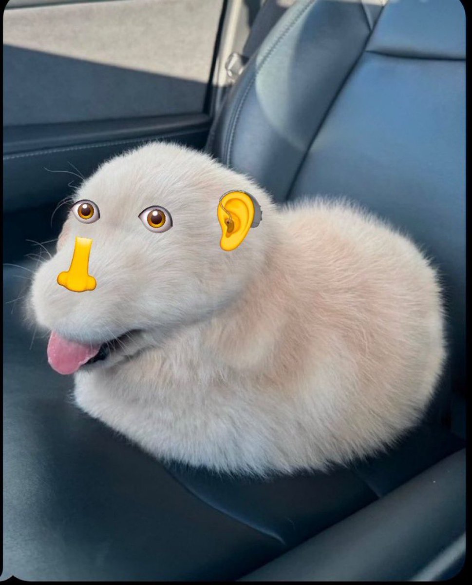 sunrisaaar's tweet image. 