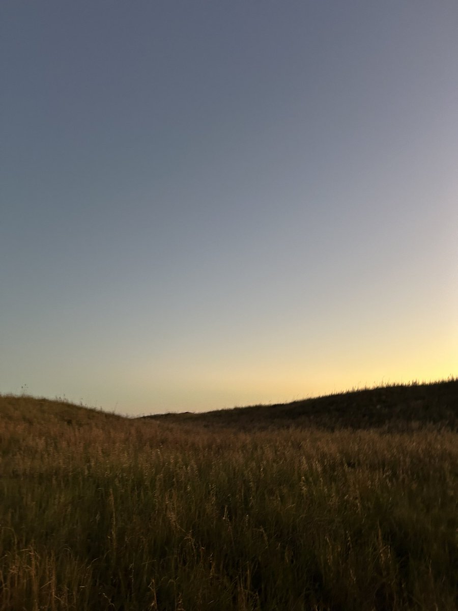 cowboyling's tweet image. Some pictures of my night in south Texas