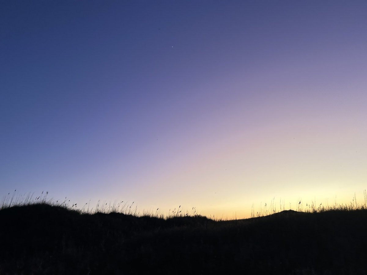 cowboyling's tweet image. Some pictures of my night in south Texas