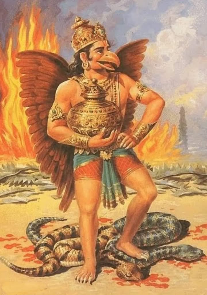 क्यों गरुड़जी नाग के दुश्मन हुए ?

क्यों नागों की जीभ आगे से दो हिस्सों में बटी हुई है और कैसे गरुड़, भगवान विष्णु के वाहन बनें?

Thread 🧵

गरूड़ भगवान के बारे में सभी जानते होंगे। यह भगवान विष्णु का वाहन हैं। भगवान गरूड़ को विनायक, गरुत्मत्, तार्क्ष्य, वैनतेय, नागान्तक,
