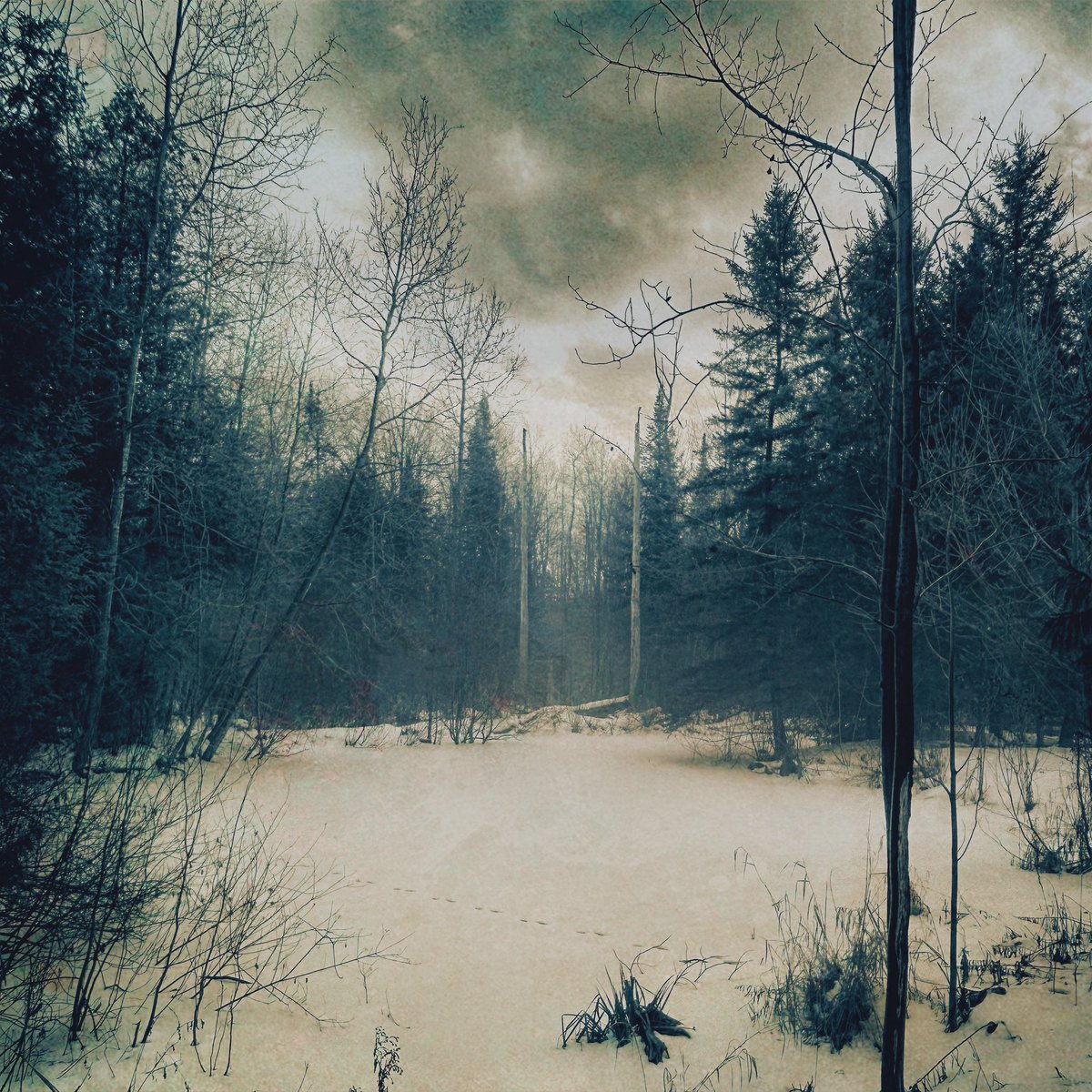 The surreal days between Christmas and New Year’s where time feels odd…