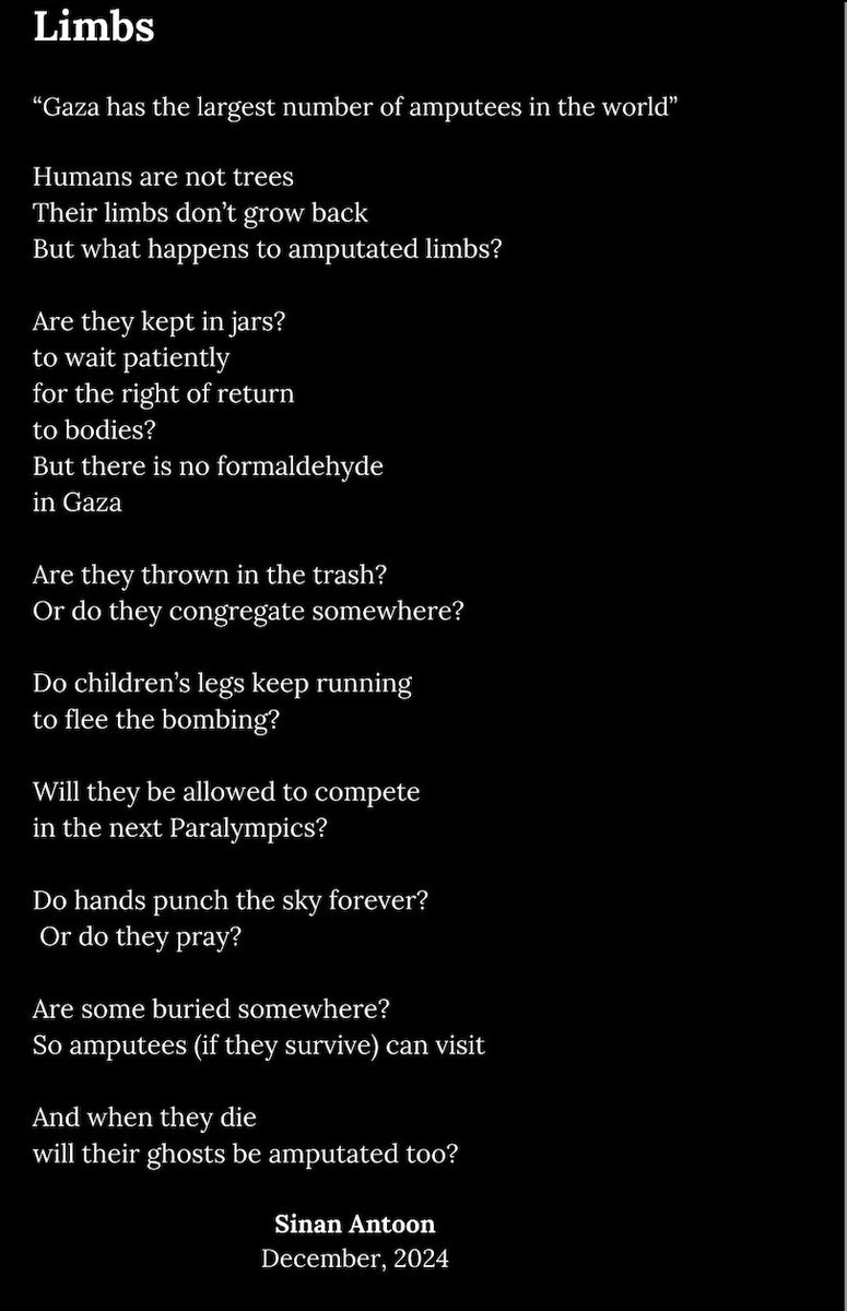 sinanantoon's tweet image. 