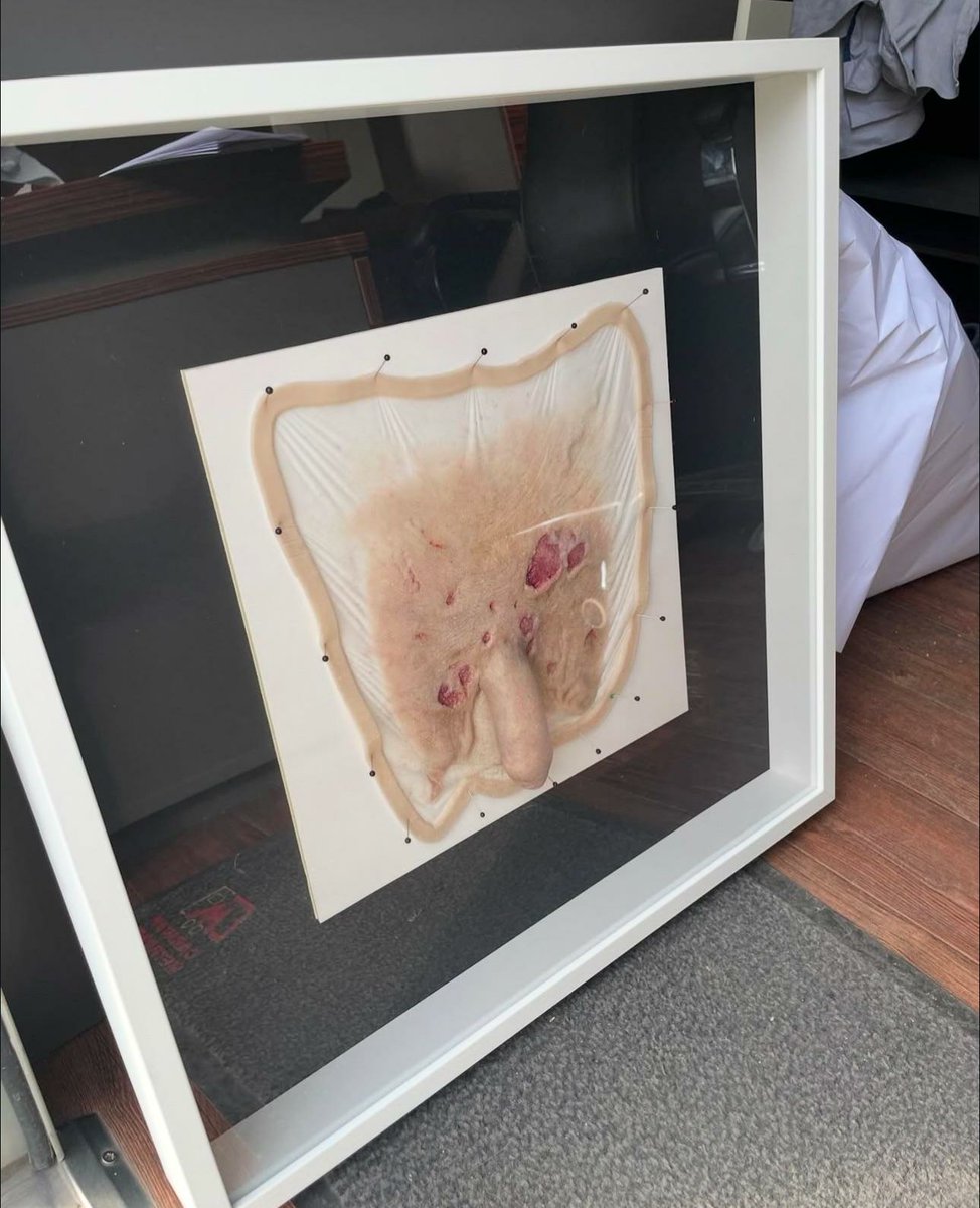 Nicholas Hoult with Count Orlok's framed prosthetic weiner is the best thing I've seen all year. #Nosferatu