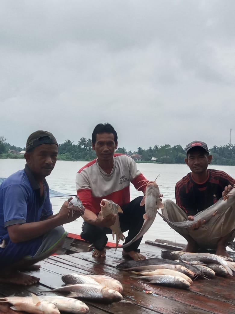 Kamis (12/12)Luhkan Kab.Banyuasin Wasahla, S.Pi. Kub Seluang Kel. Mariana Ilir hasil tangkap sungai ikan lemajang  sebanyak 50kg dg harga Rp.25.000/kg.
#GiatLuhkanBRPPUPPPalembang
#luhlapor 
#tangkap
#Banyuasin
<a href="/bppsdm_brppupp/">BRPPUPP Palembang</a>