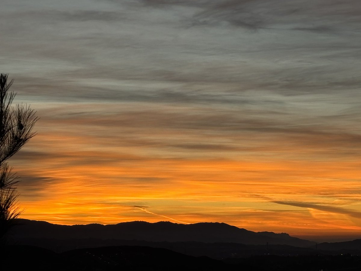 Tonight Sunset