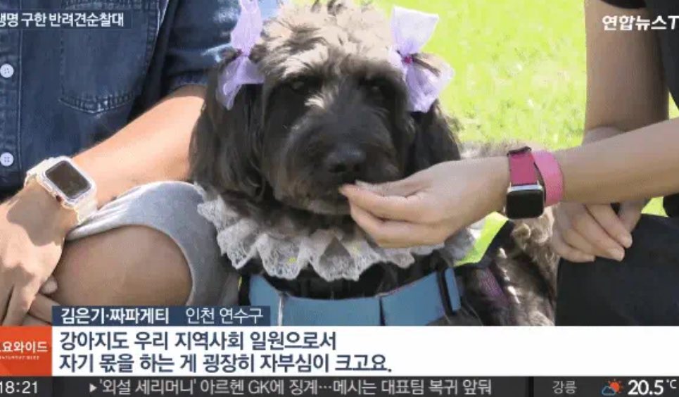 김단비 tweet media