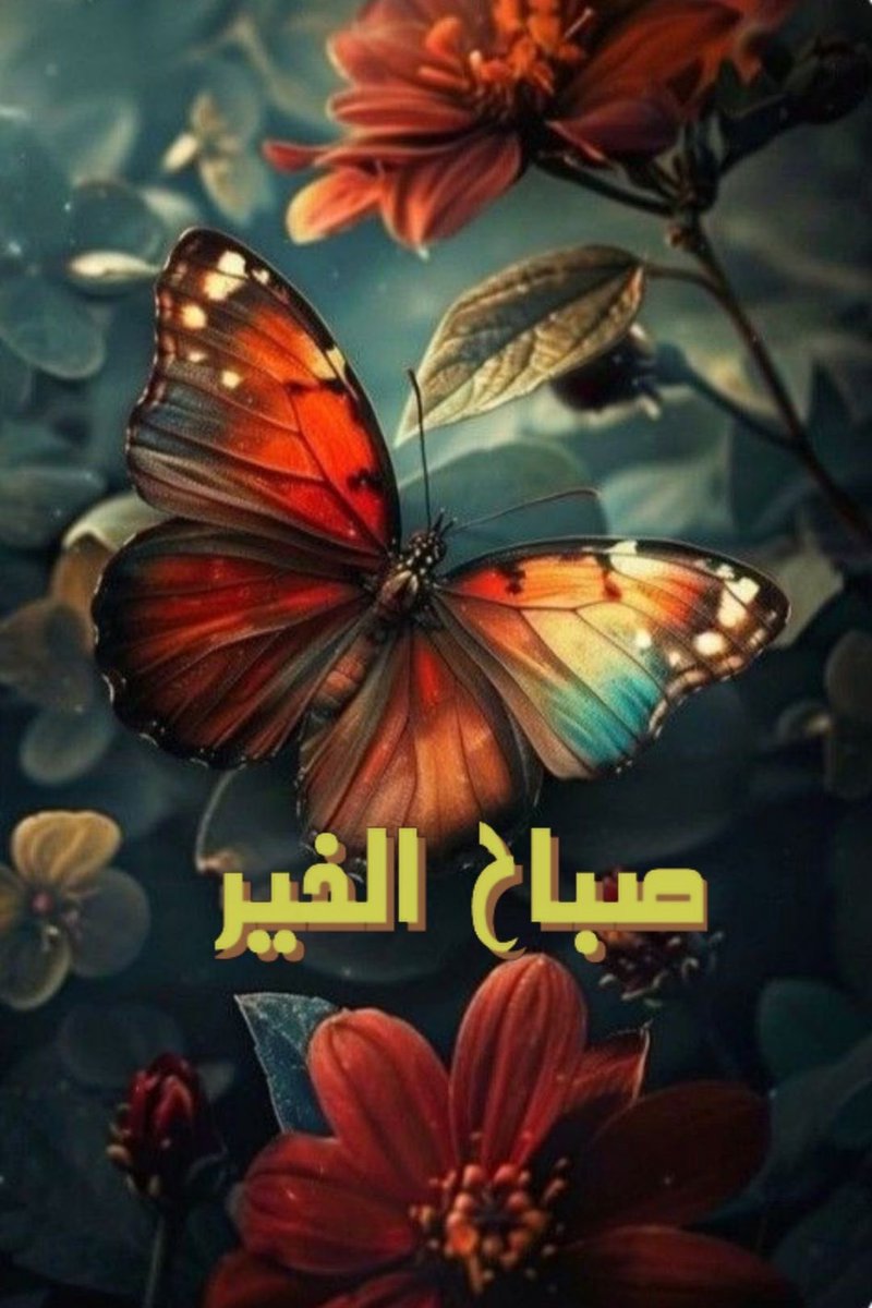 غاوي بعالم مجنون (@asdasd77990431) on Twitter photo 