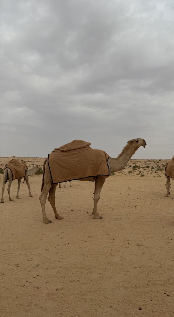مهلكات الحمر تم هبوطها لمزارعها الخاصه 🏆