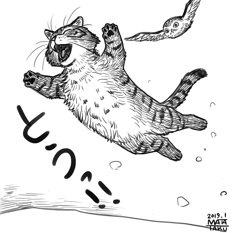 猫フク 雪だーー!! をpixivに投稿しました😄🐱🦉
全8コマです
今シーズンは本当に雪が多いです
(1/2)

https://t.co/T0XR3On4HL 