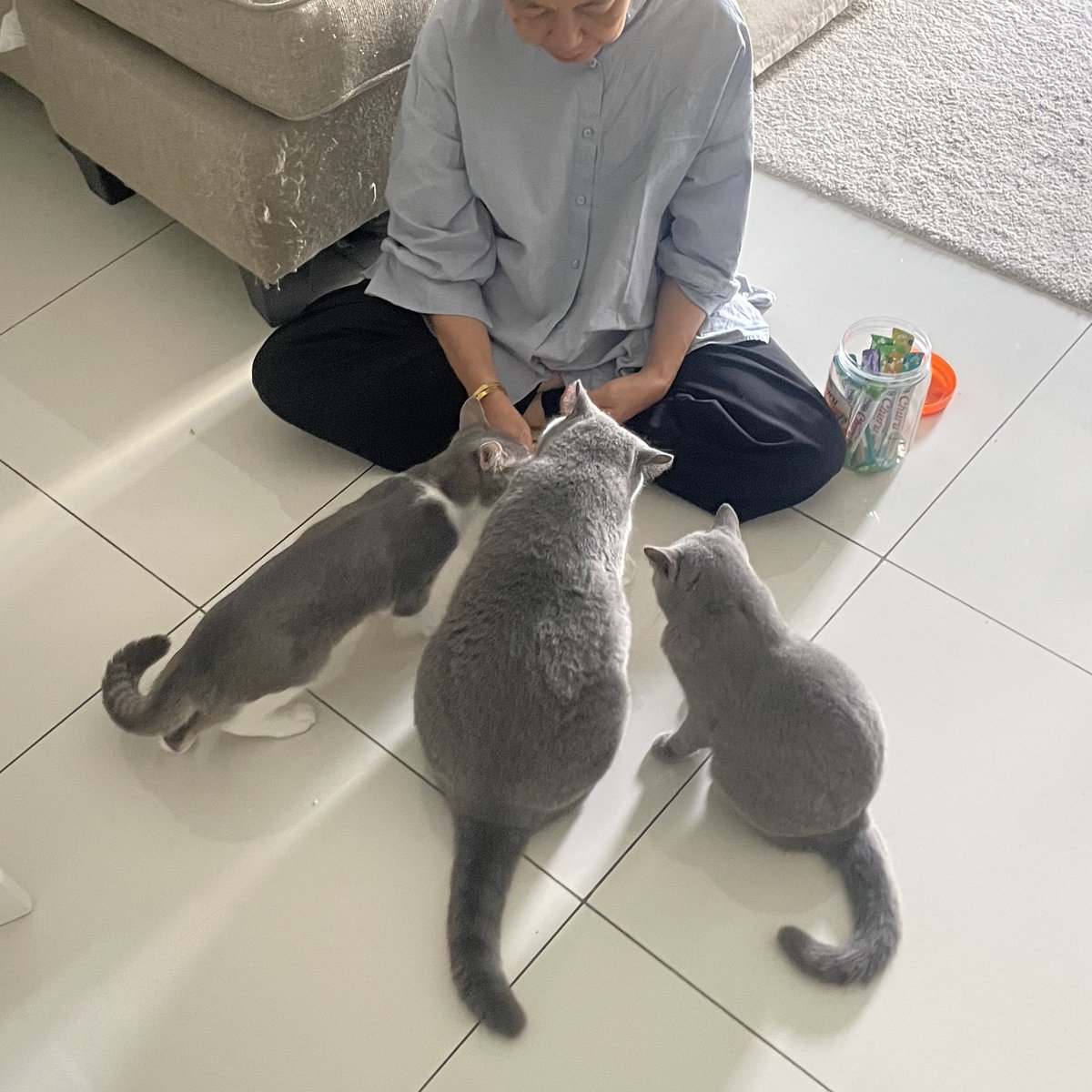 tattyhassan's tweet photo. Tok datang tengok cucu bulu. Dia cakap henry macam anjing laut. https://t.co/7Is4egHanH