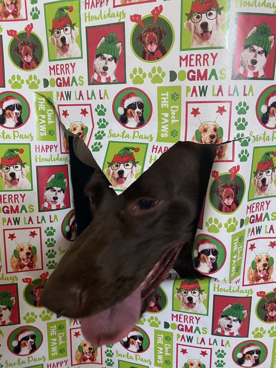 djclayart's tweet photo. @IanRunkle This was the best we could get with her lab. https://t.co/5UgZulKEkX