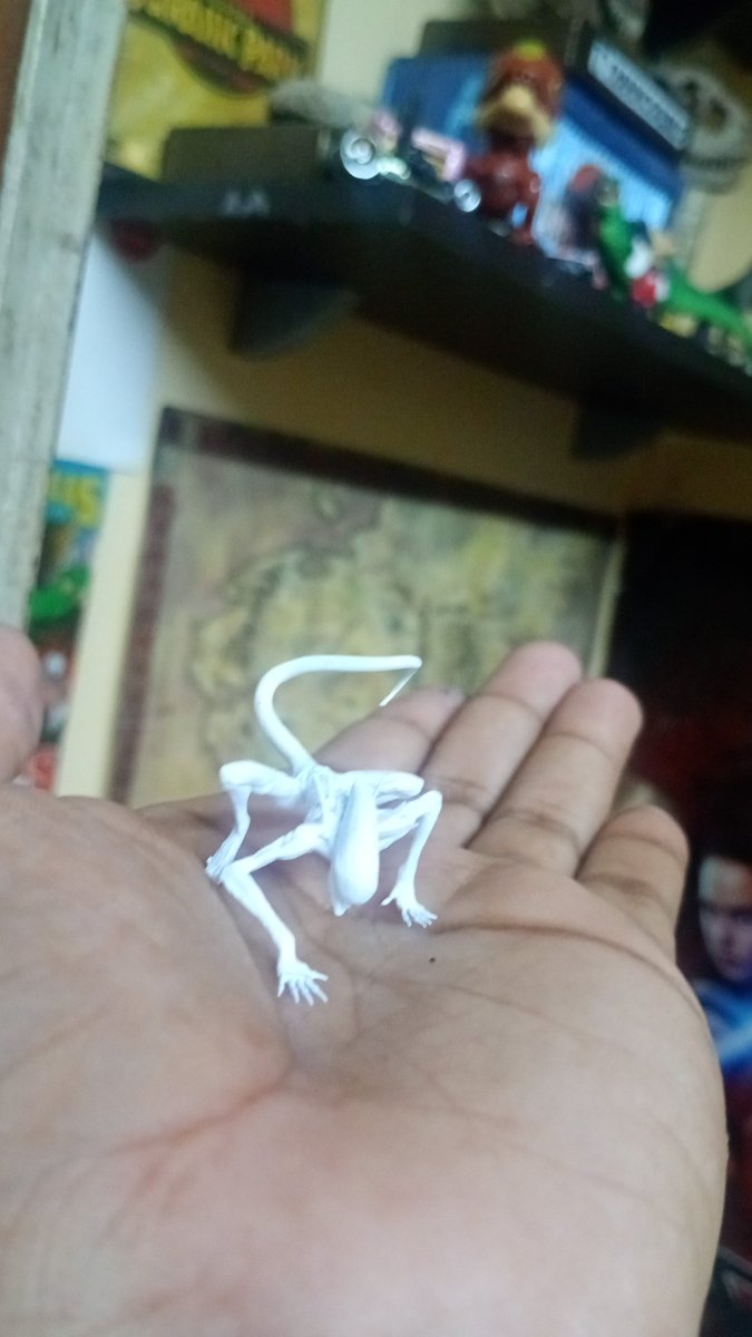 stauoh's tweet photo. Encontrei essa espécie de lagartixa subindo a parede da minha casa, ela me mordeu mas acho que é dócil. Vejam que linda 😍

Encontrei esses ovos e um eclodiu, acho que teremos filhotes à vista 😍 https://t.co/xwmUDfnS8U