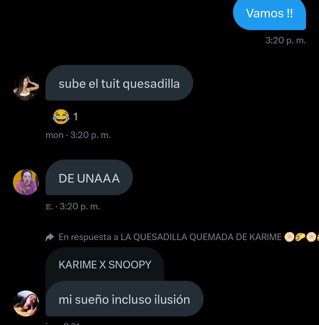 LA QUESADILLA QUEMADA DE KARIME 🫓🌮🫓🌮 tweet media