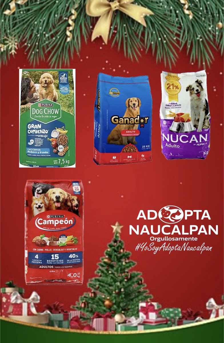 AdoptameNaucal1's tweet photo. BRAWNY &amp; MATY son Los 2 hermanos que aún no encuentran familia! Mañana presentes en la jornada de adopción! RT RT @azelarobinson @gabyplatas @gabrielguerrac @FansDeMiyagi @SoyNaucalpan @MascotasSismo @LaishaWilkins @egomezislas @MarkoEscalanteN @LosSatelucos @chekozaun https://t.co/BJCFJn9UMD