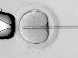 microbios tweet media