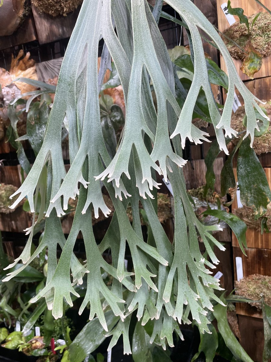 おはビ
どこにも行けないからお片付け