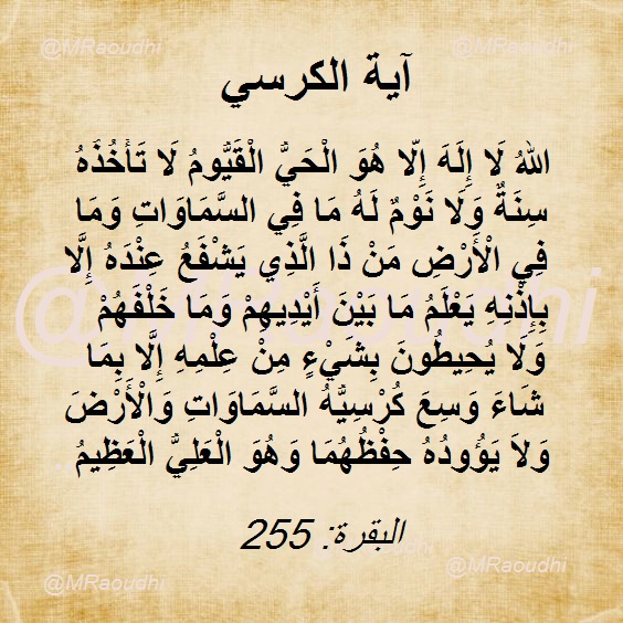 MRaoudhi's tweet photo. https://t.co/pJPmCsTQmf