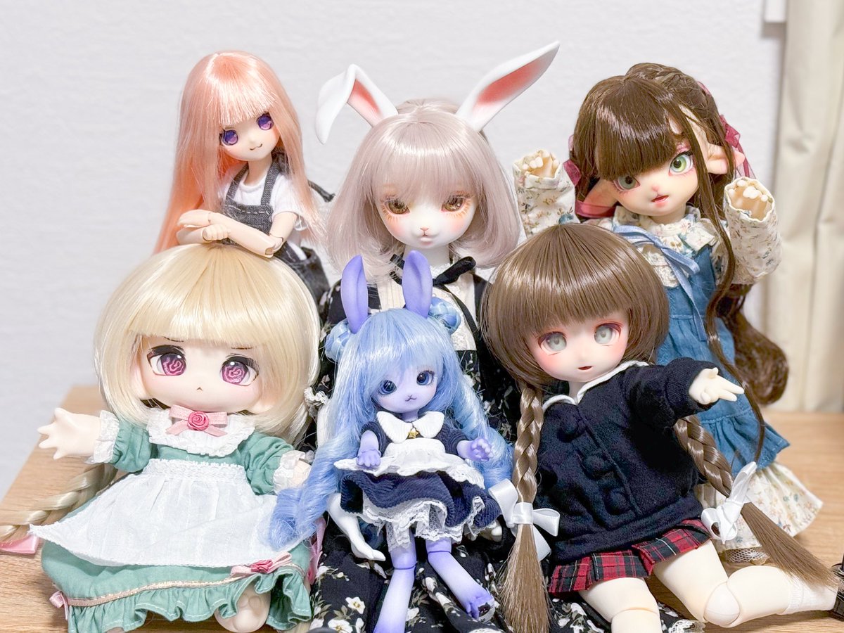 今年お迎えした子たちをまとめた！全員サイズもスケールもバラバラだから撮るの難しい〜！！！全員かわいいね🥰