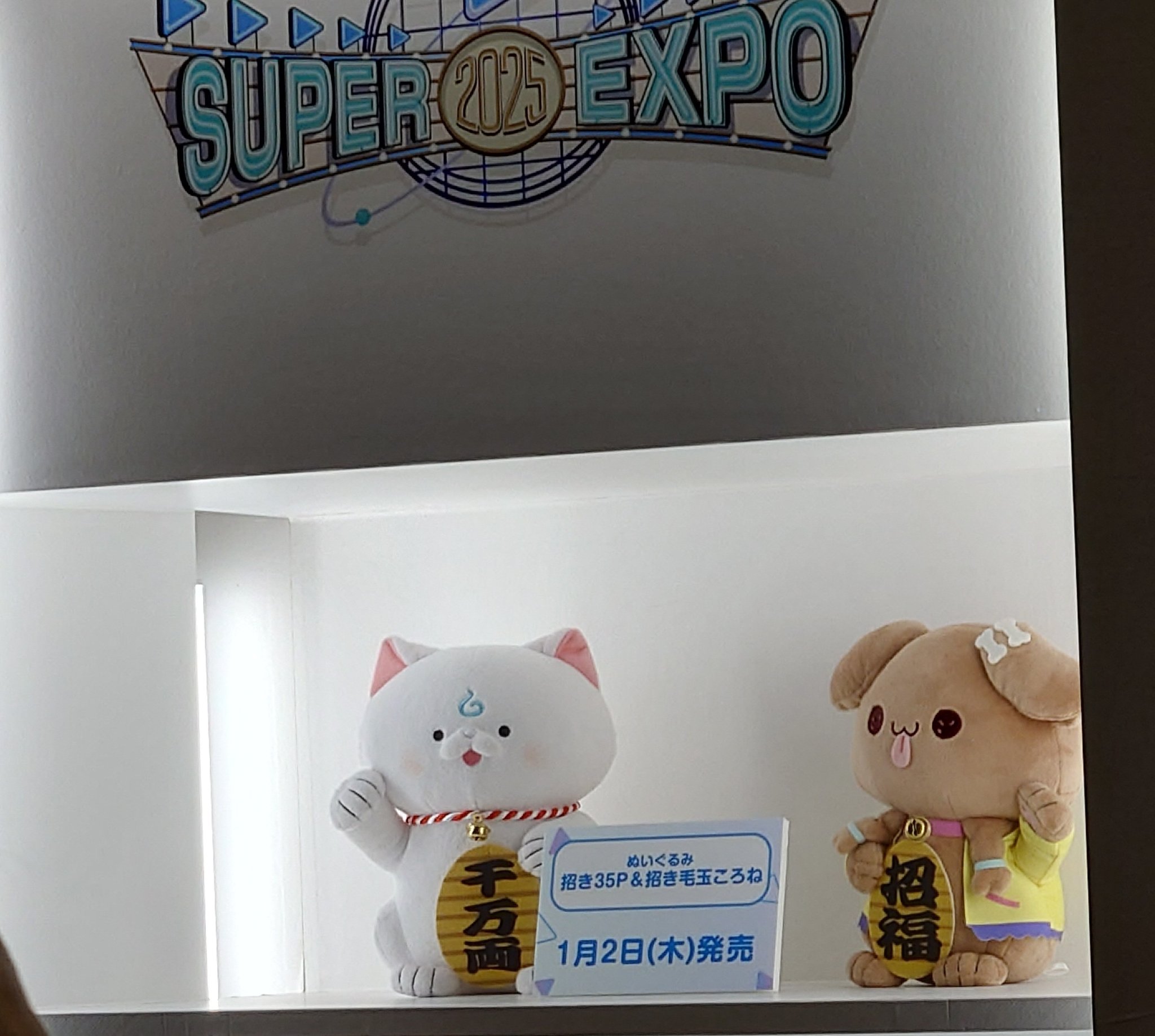 ホロライブ 招き毛玉ころね 招き35P ぬいぐるみセット ホロライブ 招き毛玉ころね 招き35P ぬいぐるみセット - メルカリ
