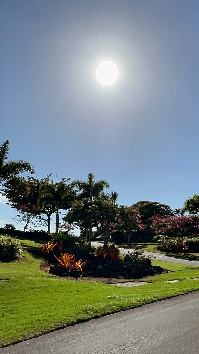 Tatjana009's tweet photo. @thatuapgirl @gvictor808 I just came back from Hawaï, beautiful clear skies and breathtaking sunsets ! 😻 https://t.co/C7CIIfJQ2G