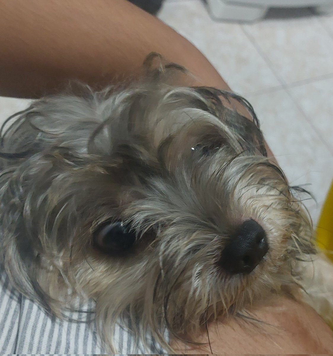 alienhesitante's tweet photo. #olhem iggy https://t.co/jtmRNvfVeH