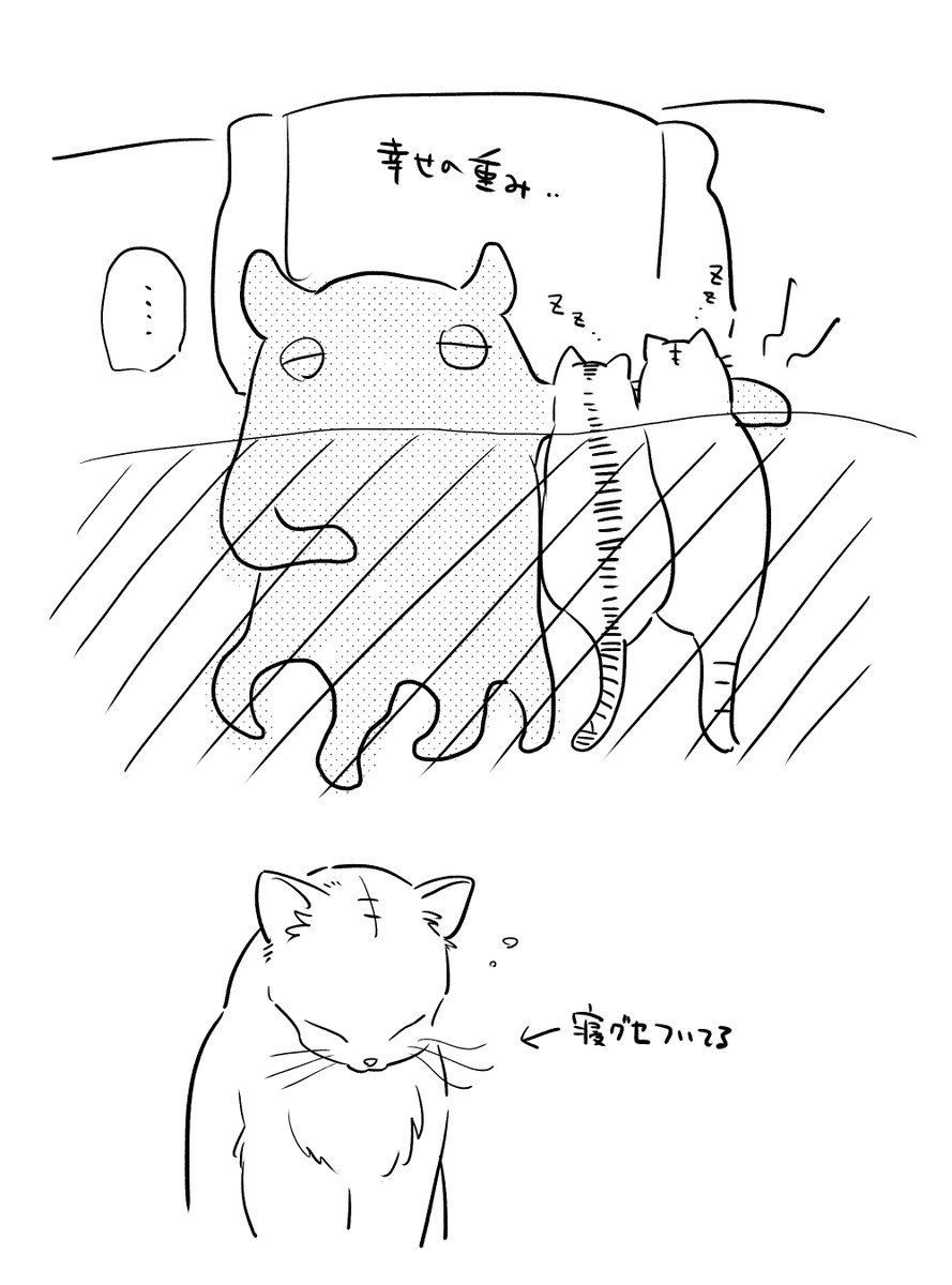 おはようございます。
昨日の夜から今朝までずっとコレだった 