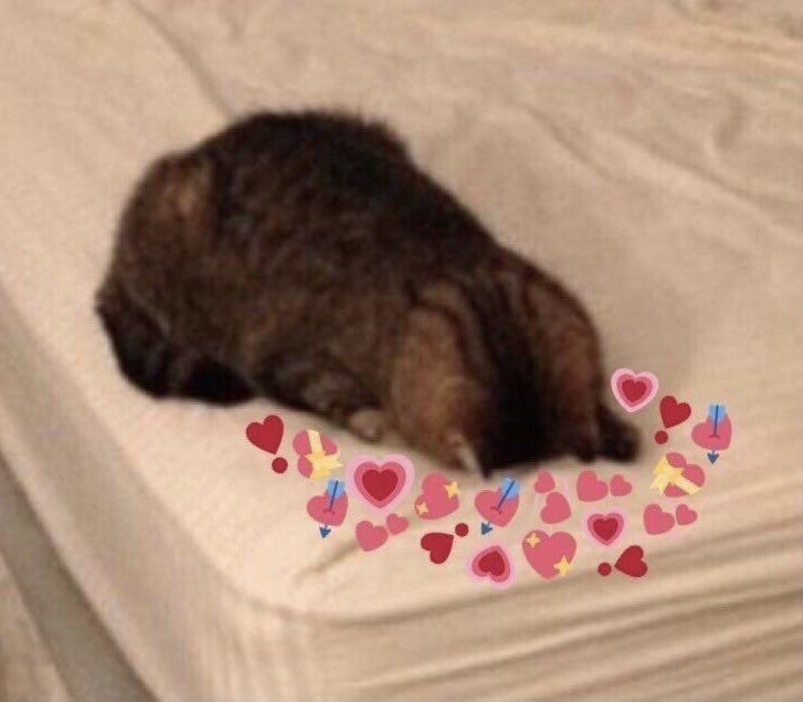 cupidrewrites's tweet photo. Writing my FMC and her LI bantering (but also lowkey flirting) and WHY are my girls so cute 😭💓 https://t.co/Y2hKHtn6i4