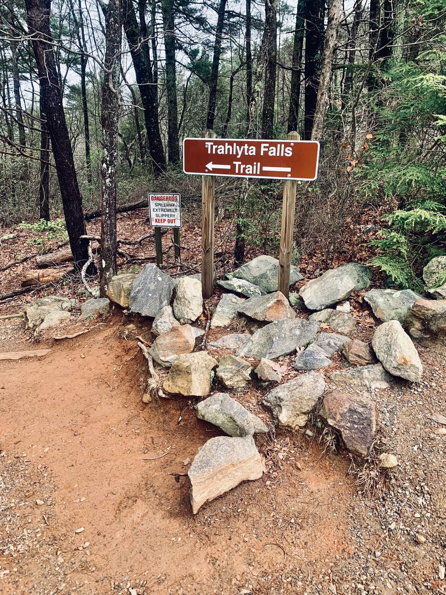 Sammy Flores tweet media